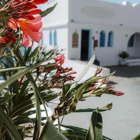 Hotel Petradi Chora (Ios)